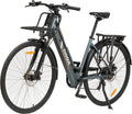 Bici elettrica cargo Nilox Cargo Mid grigia 28 pollici - motore BAFANG M400 250 W e batteria 468 Wh 13 Ah - autonomia fino a 60 km - carico 15 kg anteriore 50 kg posteriore