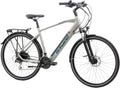 F.lli Schiano E-Wave bici elettrica trekking per adulti - ruote 28 pollici e 24 velocità - batteria rimovibile 36 V 11,6 Ah - motore 250 W 50 Nm